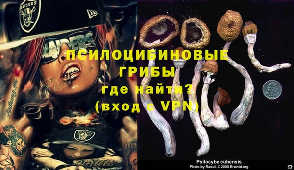 мескалин Пестово