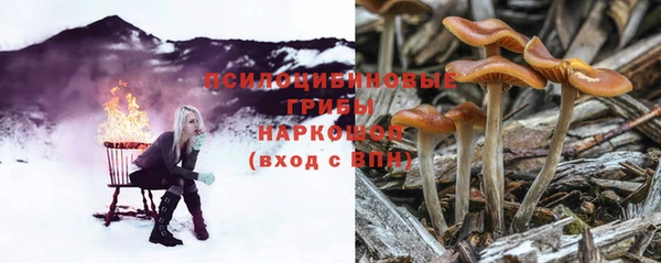 mdma Пересвет