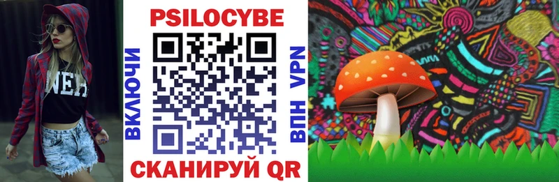 Галлюциногенные грибы Psilocybine cubensis  Волоколамск 
