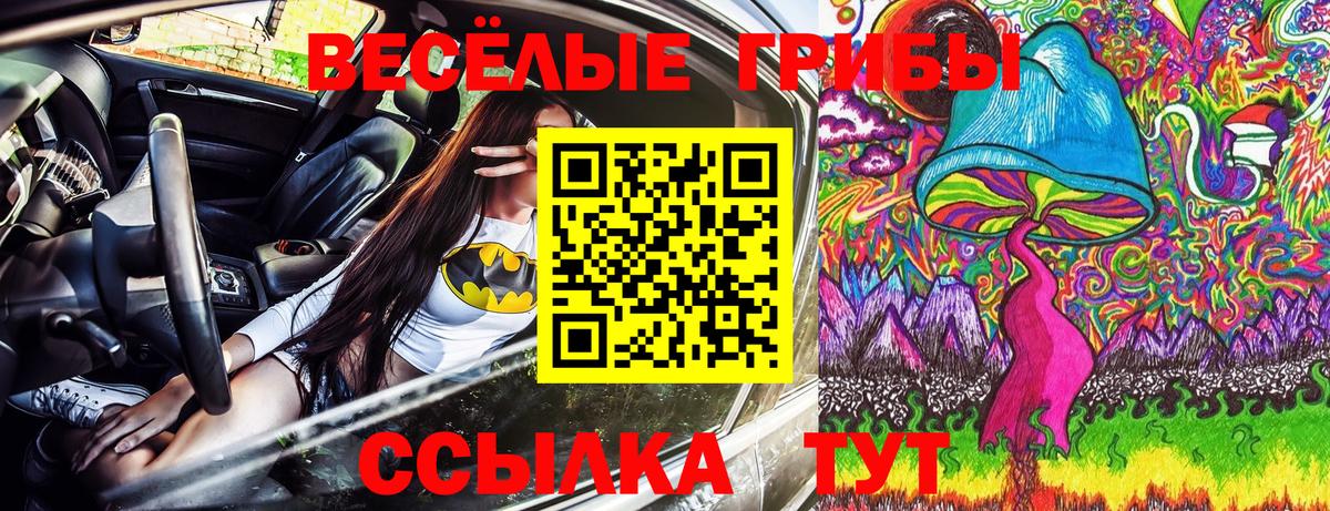 Волоколамск  Галлюциногенные грибы мухоморы  Вход с VPN 