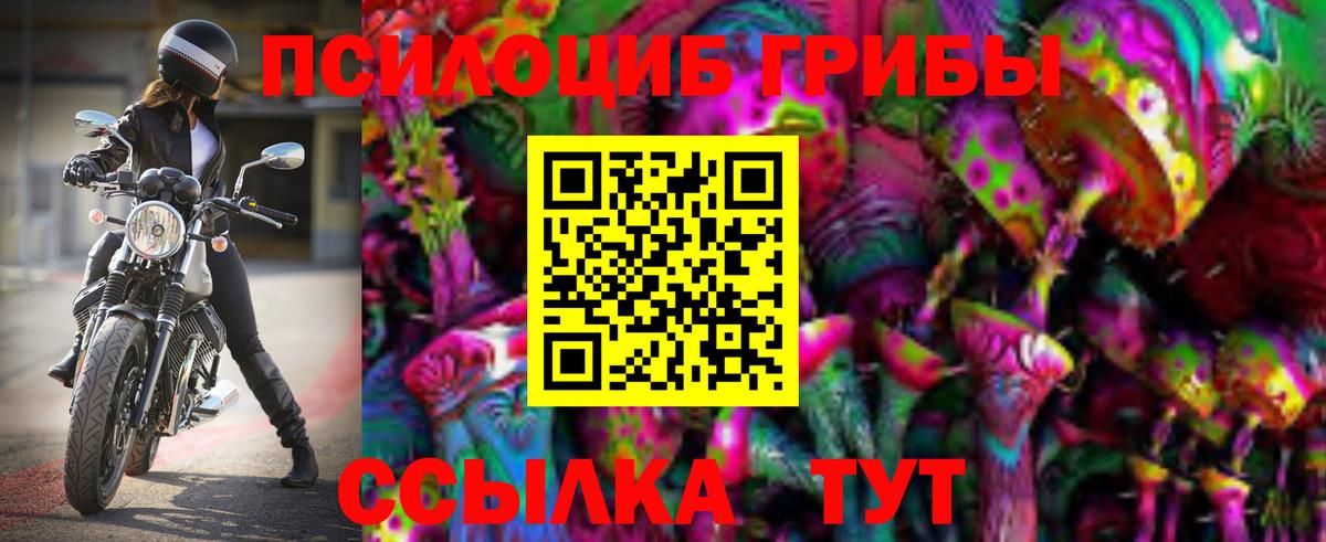Галлюциногенные грибы прущие грибы Волоколамск