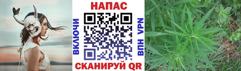 хочу Волоколамск Бошки марихуана индика